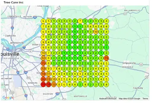 local-ranking-at-start-img